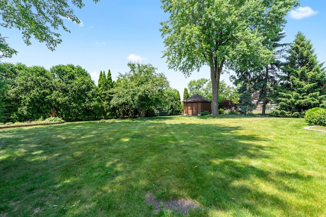 9228 Ridgeland Ave, Oak Lawn, IL 60453 - view of yard featuring a storage shed