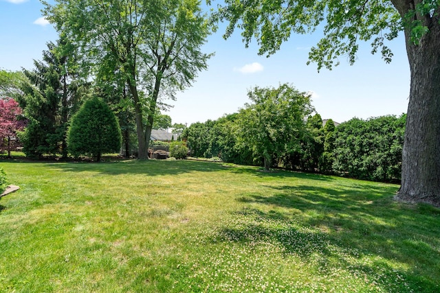 9228 Ridgeland Ave, Oak Lawn, IL 60453 - view of green lawn