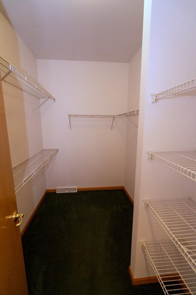 3404 Steeplechase Way, Grayslake, IL 60030 - walk in closet featuring carpet floors