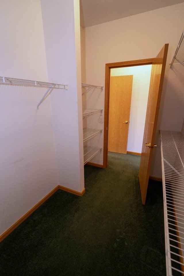 3404 Steeplechase Way, Grayslake, IL 60030 - walk in closet with carpet floors