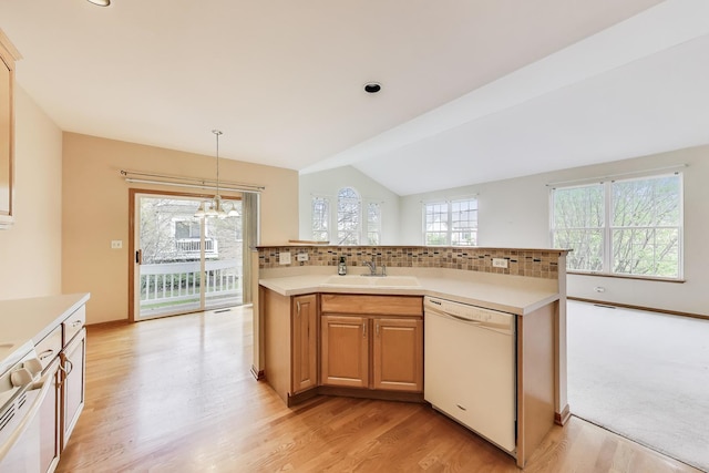 kitchen featuring dishwasher, light wood finished floors, light countertops, a sink, and plenty of natural light