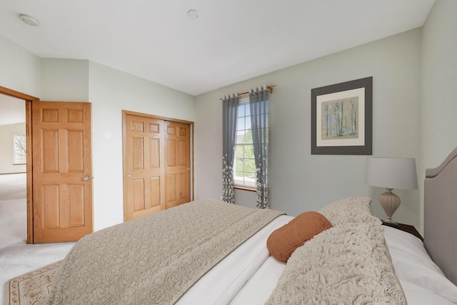 bedroom featuring carpet and a closet