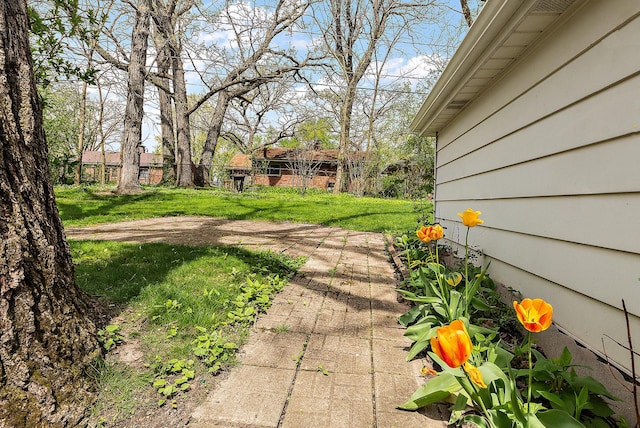 view of yard