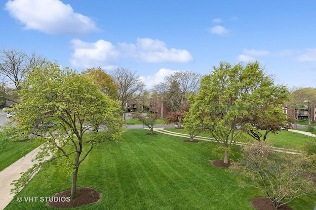 1450 Sandpebble Dr Unit 343, Wheeling, IL 60090 - view of green lawn