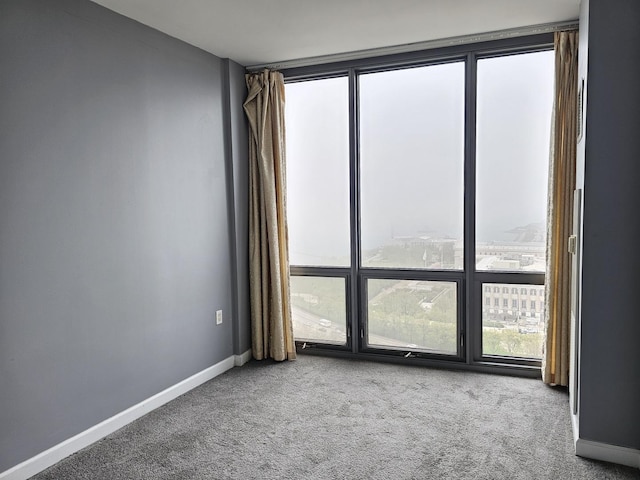 spare room featuring baseboards, a healthy amount of sunlight, and carpet floors