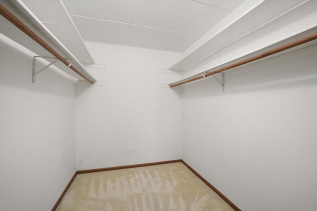 walk in closet featuring light colored carpet