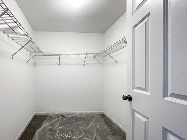 1587 Glenbrooke Ln, New Lenox, IL 60451 - view of walk in closet