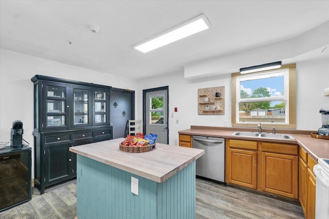 kitchen with light wood-style floors, a healthy amount of sunlight, a sink, and stainless steel dishwasher