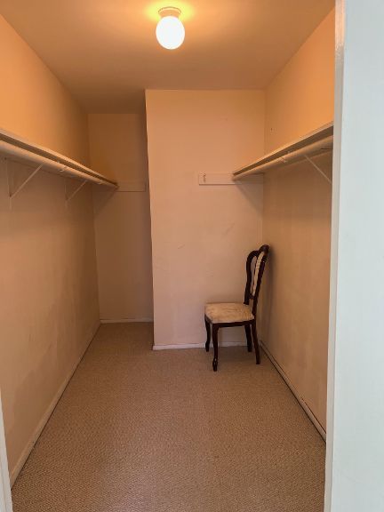 725 Grove Dr Unit 209, Buffalo Grove, IL 60089 - spacious closet featuring light carpet