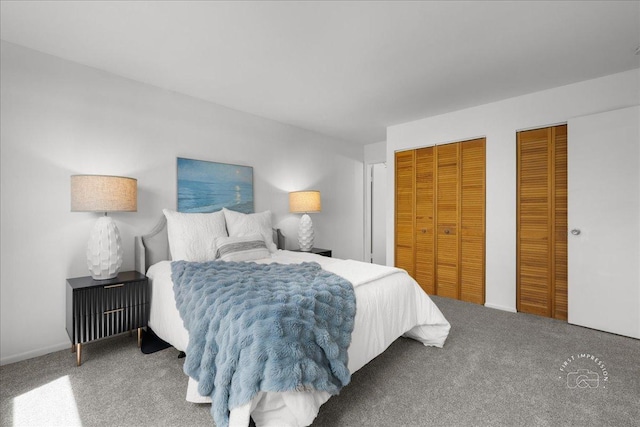 1313A S Rebecca Rd Unit 202, Lombard, IL 60148 - carpeted bedroom featuring multiple closets