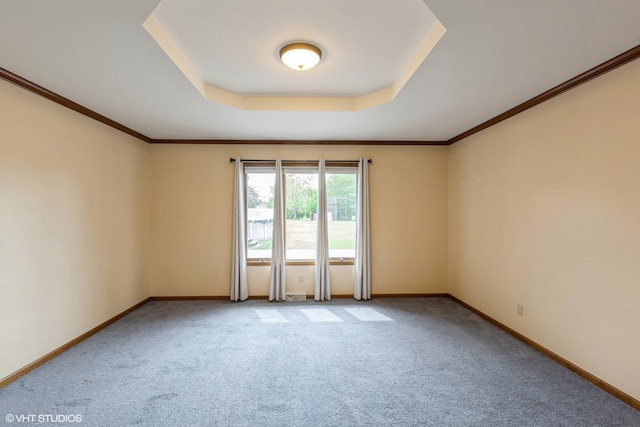 unfurnished room featuring a raised ceiling, carpet flooring, and baseboards