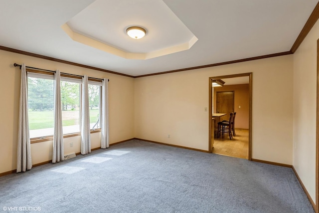 carpeted spare room with baseboards, a raised ceiling, and crown molding