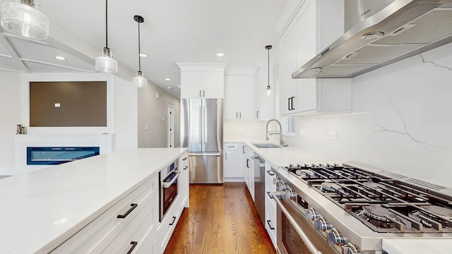 kitchen featuring a sink, stainless steel appliances, dark wood-type flooring, recessed lighting, and ventilation hood