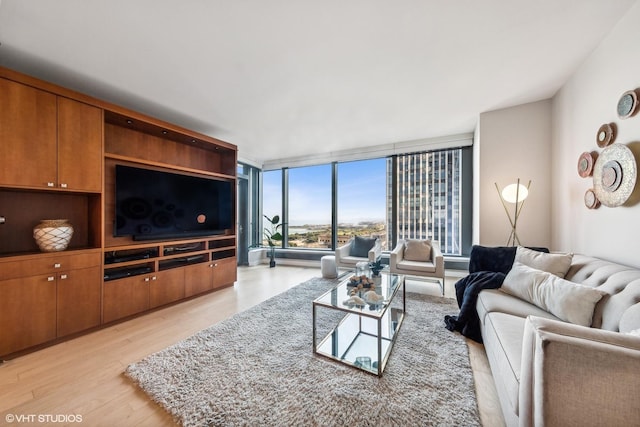 living room featuring light wood-type flooring and floor to ceiling windows
