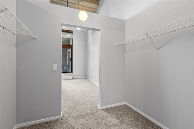 walk in closet with carpet flooring