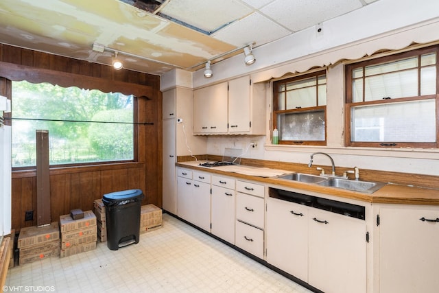 kitchen featuring track lighting, a sink, wood walls, light floors, and white cabinetry