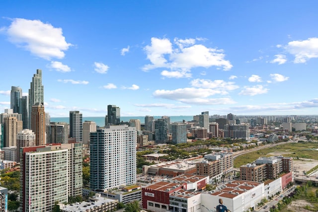 234 W Polk St Unit 3701, Chicago, IL 60607 - photo 12