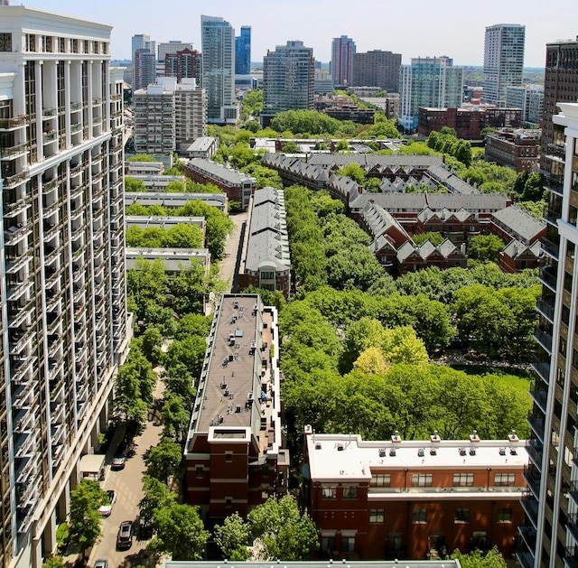 233 E 13th St Unit 2209, Chicago, IL 60605 - view of urban area