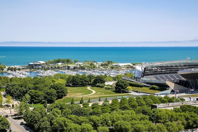 233 E 13th St Unit 2209, Chicago, IL 60605 - drone / aerial view of a nearby body of water