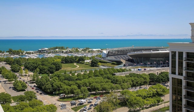 233 E 13th St Unit 2209, Chicago, IL 60605 - water view