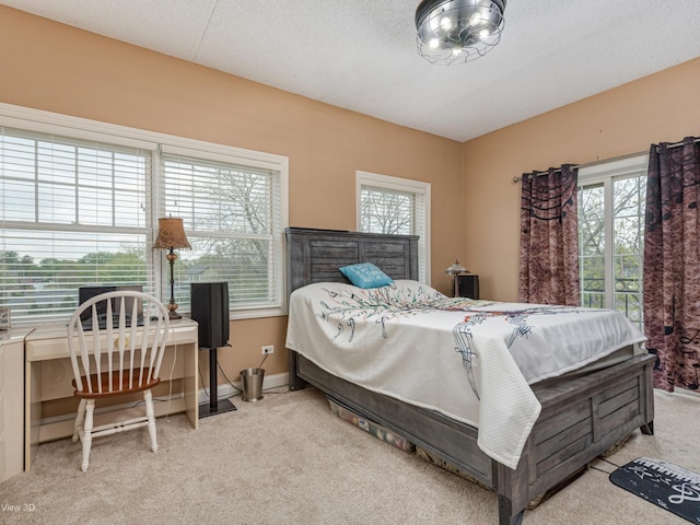 17200 Oak Park Ave Unit R-206, Tinley Park, IL 60477 - bedroom featuring carpet floors and baseboards