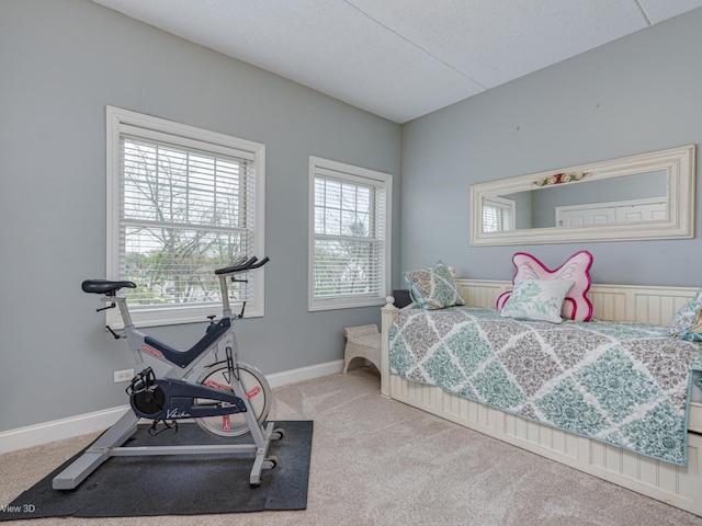 17200 Oak Park Ave Unit R-206, Tinley Park, IL 60477 - bedroom featuring baseboards and carpet flooring