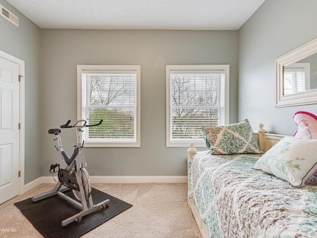 17200 Oak Park Ave Unit R-206, Tinley Park, IL 60477 - carpeted bedroom with baseboards and visible vents