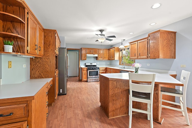 12318 W Donegal Ln, New Lenox, IL 60451 - kitchen with appliances with stainless steel finishes, under cabinet range hood, a peninsula, a ceiling fan, and light wood-type flooring