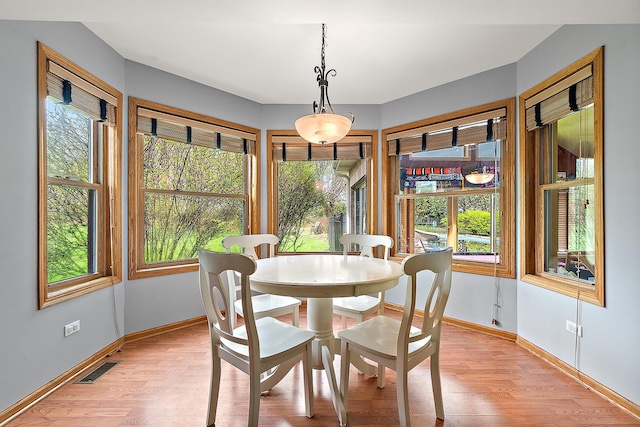 12318 W Donegal Ln, New Lenox, IL 60451 - dining room featuring light wood-style flooring, baseboards, and healthy amount of natural light