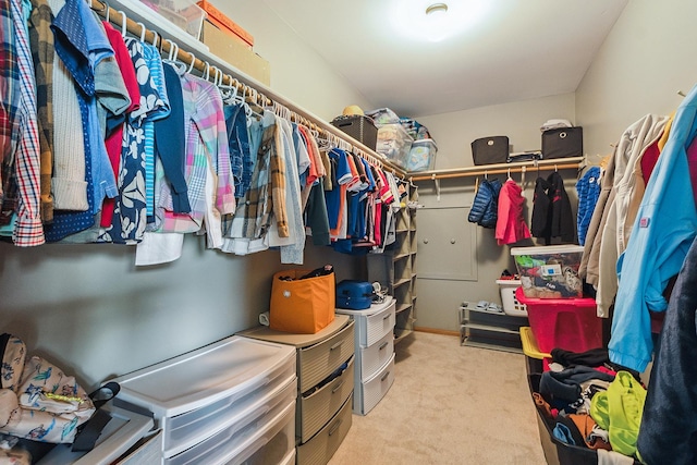 12318 W Donegal Ln, New Lenox, IL 60451 - spacious closet with carpet flooring