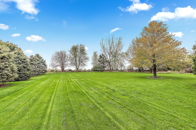 12318 W Donegal Ln, New Lenox, IL 60451 - view of grassy yard