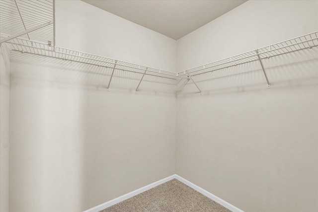 walk in closet with carpet