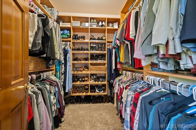 walk in closet with carpet