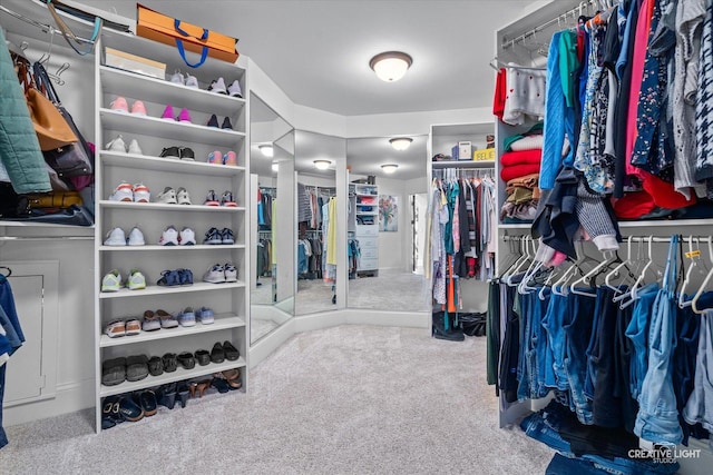 4779 Lees Ct, Oswego, IL 60543 - walk in closet featuring carpet