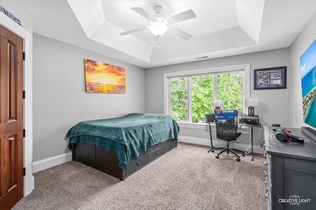 4779 Lees Ct, Oswego, IL 60543 - bedroom with a tray ceiling, carpet flooring, and baseboards