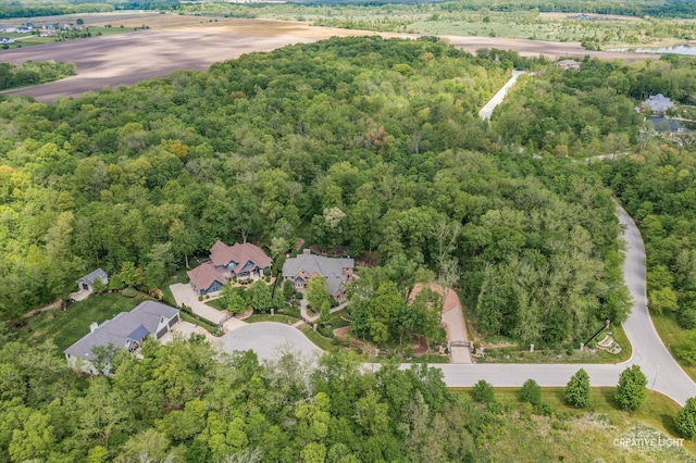 4779 Lees Ct, Oswego, IL 60543 - aerial view of property and surrounding area featuring a heavily wooded area