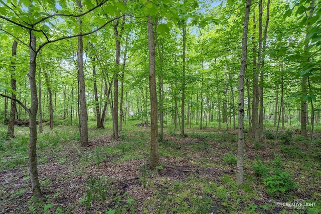 4779 Lees Ct, Oswego, IL 60543 - view of wooded area