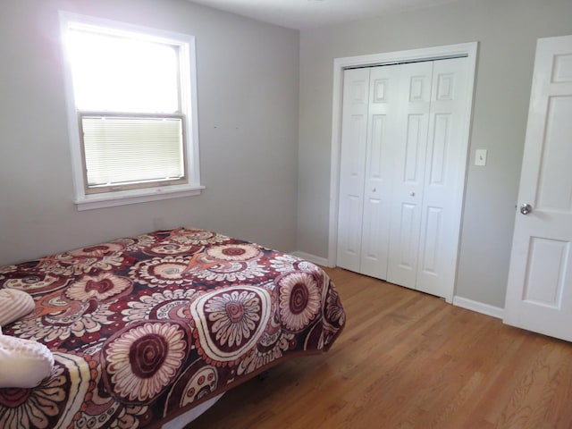 803 Junie Ct, Joliet, IL 60435 - bedroom with light wood finished floors, a closet, and baseboards