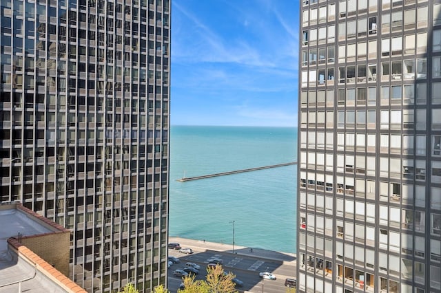 260 E Chestnut St Unit 1706, Chicago, IL 60611 - water view