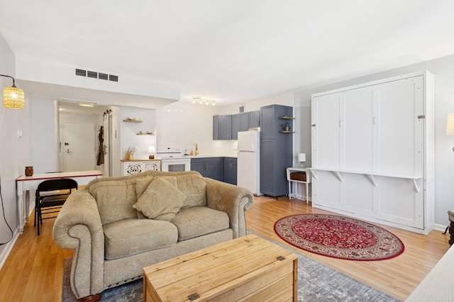 260 E Chestnut St Unit 1706, Chicago, IL 60611 - living room featuring light wood-type flooring