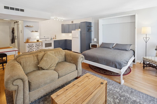 260 E Chestnut St Unit 1706, Chicago, IL 60611 - bedroom with freestanding refrigerator, light wood-style flooring, and a sink