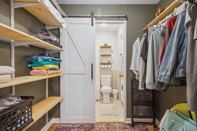 260 E Chestnut St Unit 1706, Chicago, IL 60611 - walk in closet with a barn door