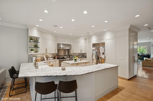 1442 W Cuyler Ave, Chicago, IL 60613 - kitchen featuring a sink, high quality appliances, wall chimney exhaust hood, ornamental molding, and recessed lighting