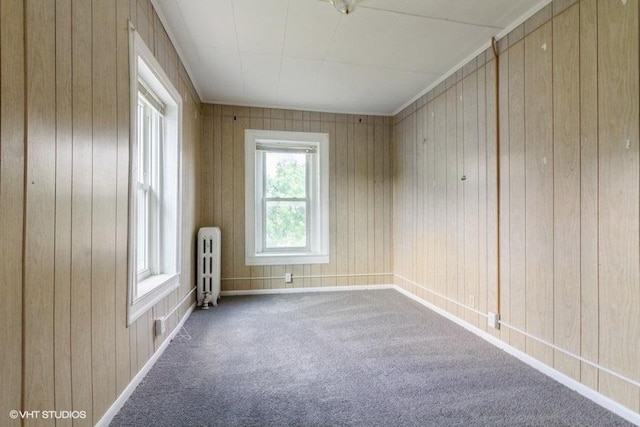 1027 Paul St, Ottawa, IL 61350 - carpeted spare room with radiator, wooden walls, and baseboards