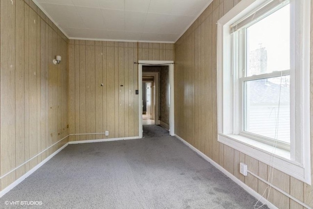 1027 Paul St, Ottawa, IL 61350 - carpeted spare room with wood walls, crown molding, and baseboards