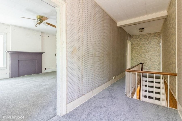 1027 Paul St, Ottawa, IL 61350 - corridor with carpet flooring, an upstairs landing, and wallpapered walls