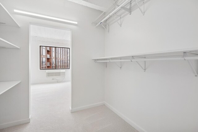 345 N Canal St Unit 1003, Chicago, IL 60606 - spacious closet with light colored carpet and an AC wall unit