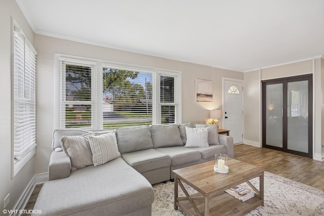 living area featuring wood finished floors, baseboards, and ornamental molding