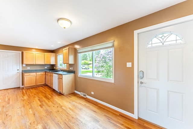204 N Rohlwing Rd, Palatine, IL 60074 - kitchen featuring light brown cabinets, baseboards, light wood-type flooring, white dishwasher, and a sink