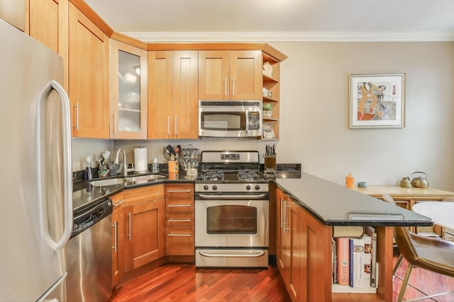 kitchen featuring appliances with stainless steel finishes, a sink, a peninsula, dark wood finished floors, and open shelves